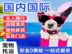 河东航空运输国际宠物托运 【国